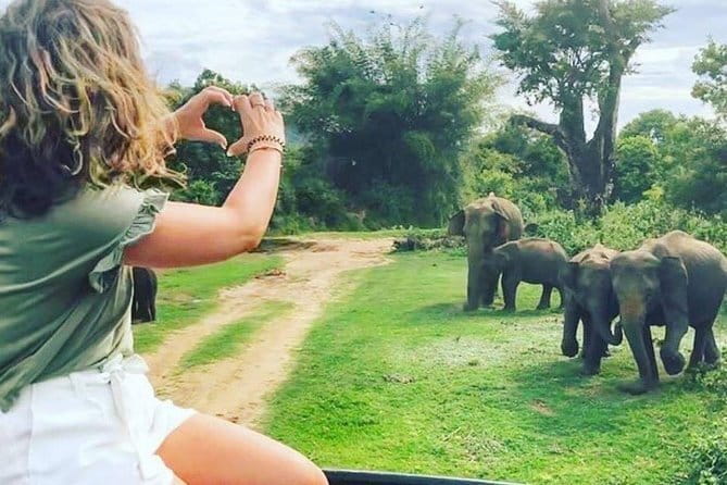 03 Days Highlights Of Sigiriya,Kandy,Nuwara Eliya ,Ella & Udawalawe - What to pack and what to confirm