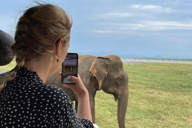 04 Hours Safari Jeep Tours - Key points before you book
