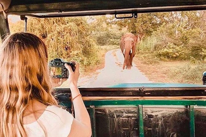 08 - Day Classic Tour with English speaking drive and Private luxury vehicles - What $456 buys you on this Sri Lanka route