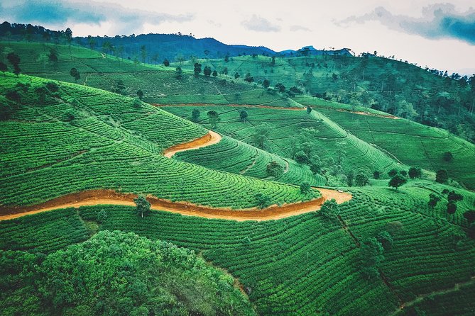 08 Days private round trip in Sri Lanka - A big Sri Lankan circuit in eight days