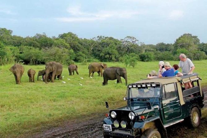 08 Nights in Magical Sri Lanka - Day 7: Ella viewpoints and a long southbound drive