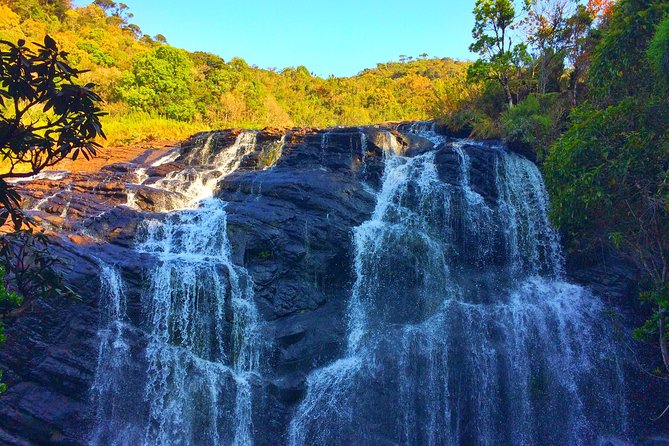 10 Day Explore Sri Lanka - Day 4: Dambulla caves and Kandy after dark
