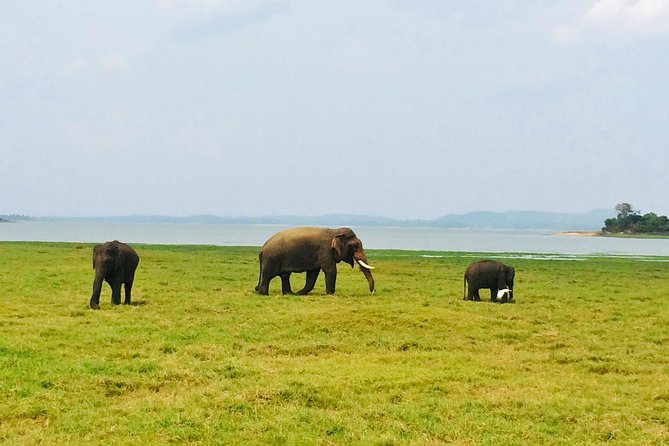 10 Day Explore Sri Lanka - Day 6: Horton Plains and the railway to Ella
