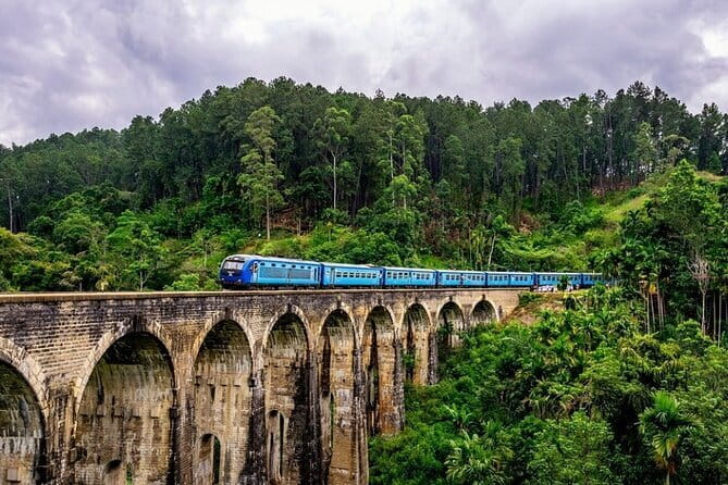 10 Days/ 9 Nights - Heritage Wildlife and Waves in Sri Lanka - Days 2 and 3: temples, elephants, and the ancient capitals