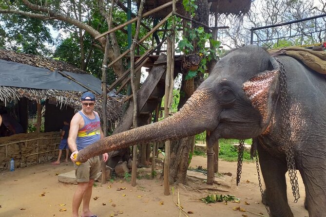 12 Days Sri Lanka Island Adventure and Wild Tour - Day 4: Kandy’s temple, gardens, and evening culture