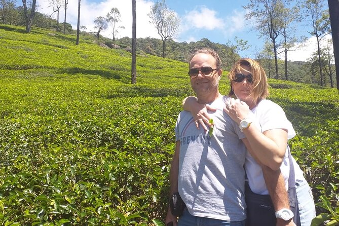 12 Days Sri Lanka Island Adventure and Wild Tour - Days 5 and 6: Tea country and Horton Plains