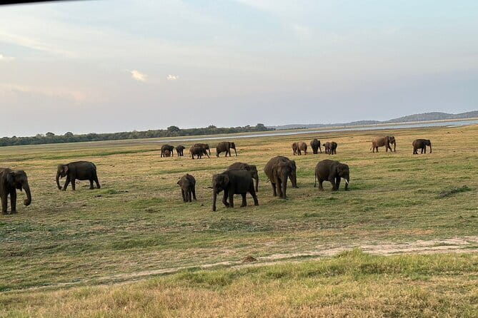 12 Days Tour Grand Discovery of Sri Lanka - From Negombo lagoons to Colombo streets