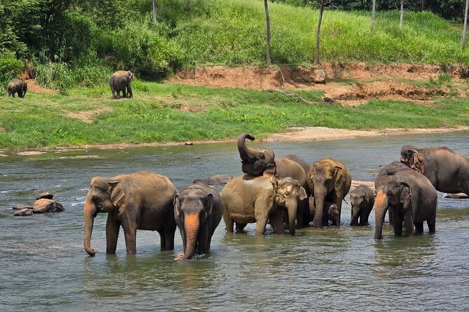 12 Days Tour Grand Discovery of Sri Lanka - Polonnaruwa ruins and Minneriya elephants