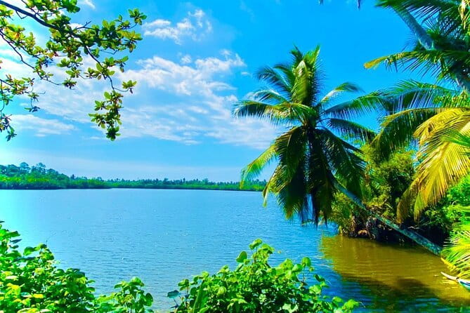 14 Days/ 13 Nights -Sri Lanka Tour on Culture, Wildlife & Beaches - Ancient caves, elephants, and the first busy day