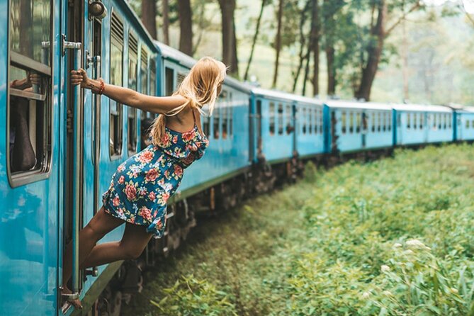 2 Day Tour of Yala & Ella with Hill Country Scenic Train Ride - All Inclusive - The 4:00am start and the road to Yala