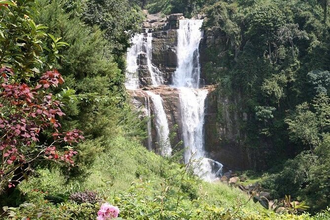 2 Day Tour of Yala & Ella with Hill Country Scenic Train Ride - All Inclusive - The three-star Ella hotel