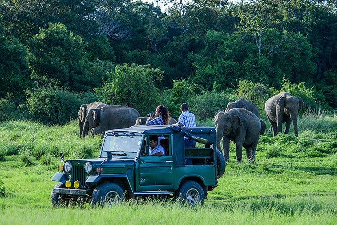 2 Days Tour of Double Safari (Yala & Udawalawe) - All Inclusive - Why combining Yala and Udawalawe works