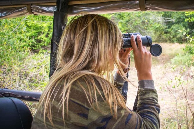 2 Nights All Inclusive Treehouse Safari in Yala with transfers - Nimalawa at Dawn: A Different Kind of Wildlife Experience