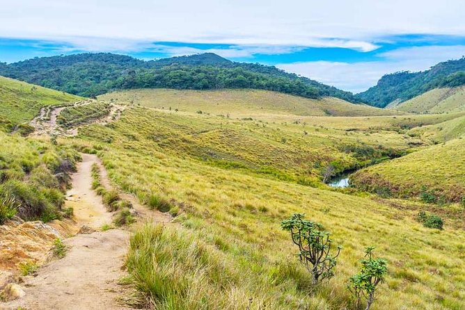 3 Days Nature and Chill Tour of Ella, Nuwara Eliya and Haputale - What Aruna adds to the experience