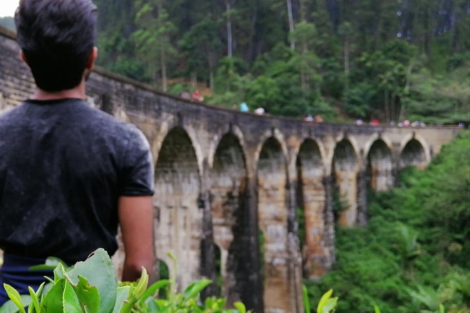 3 Days Nature and Chill Tour of Ella, Nuwara Eliya and Haputale - Should you book this Ella hill-country tour?