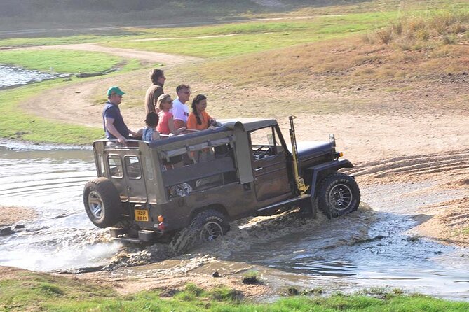 3 Days Private Tour of Yala Safari/ Ella/ Kandy - All Inclusive - What the private format really adds