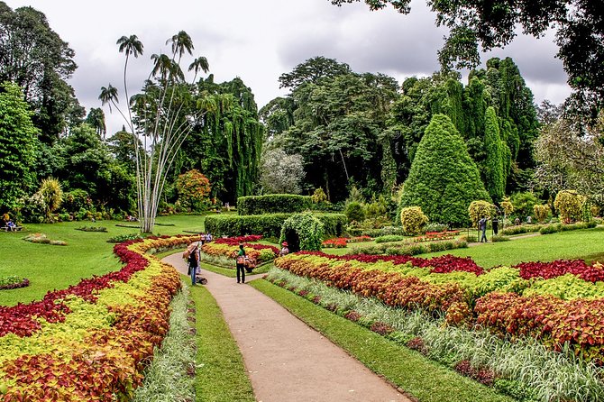 3 Days Tour to Kandy, Nuwara Eliya & Sigiriya - Transport, hotels, and what you pay extra
