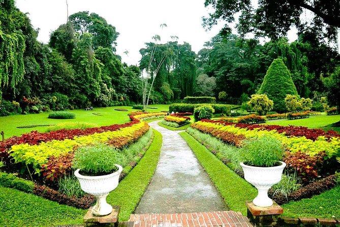3 Days Tour to Kandy Nuwara Eliya & Sigiriya from Colombo - What the $250 price really covers