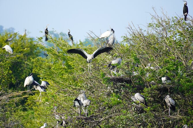 4 Hours Private Yala Safari Day Tour - The long road from Bentota to Yala