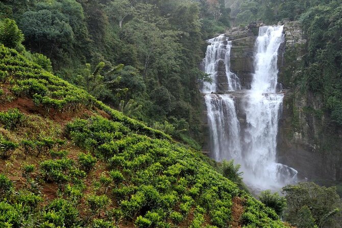 6 Days Nature And Culture Tour - What this six-day route is really offering
