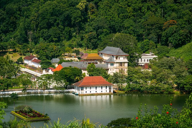6 Days Private Vehicle with English Speaking Chauffeur - Galle Fort and the return to Colombo