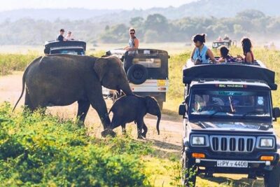 6 Days Tour of Sri Lanka