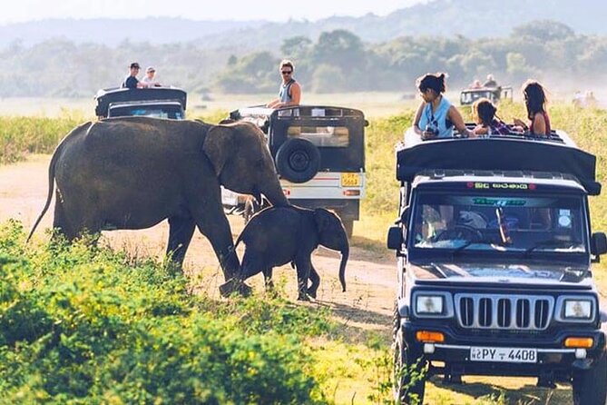 6 Days Tour of Sri Lanka - Day two: Caves, spices, gardens, and Kandy culture