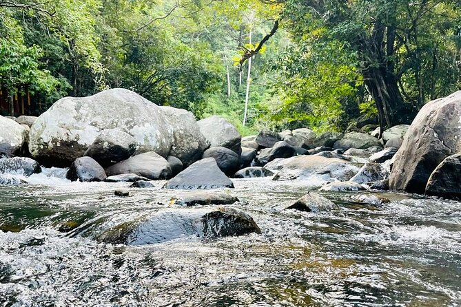 6Days Hill country Private Tour in Sri Lanka - Day two: botanical gardens, gems, wood carving, and tea