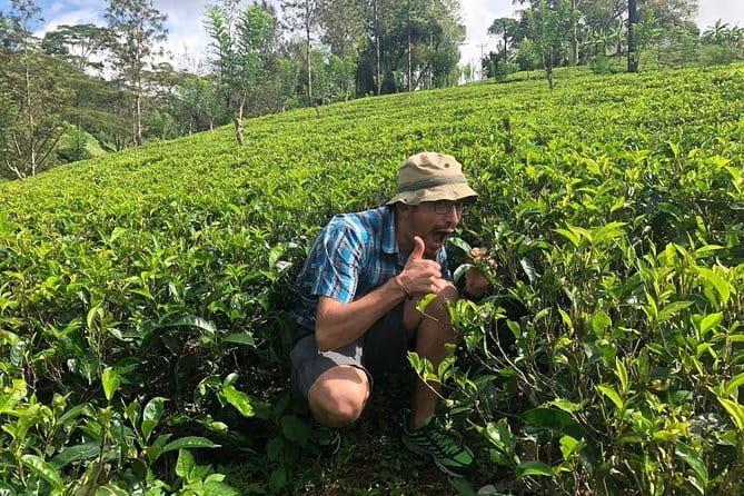 7 Days Sri Lanka Tour Chauffeur Wildlife and Heritage Adventure - Galle Fort, Coconut Tree Hill, and three hours at Mirissa Beach