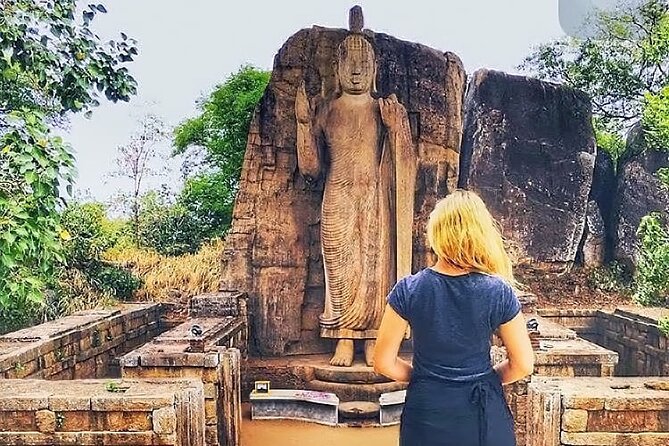 7 Days Sri Lanka Tour package with Private Driver - What $870 buys you on the road
