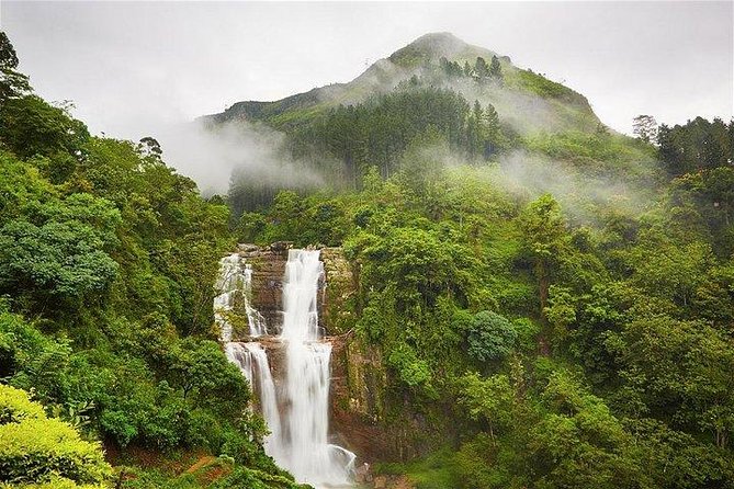 7 Nights Private Tour Of Sri Lanka - Day 3: Dambulla caves and the sacred center of Kandy