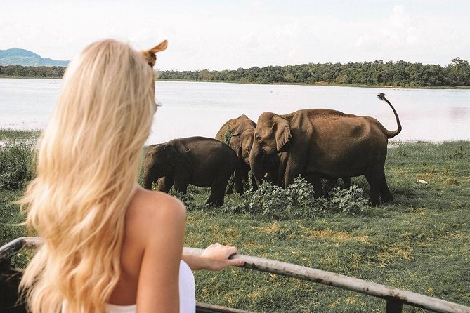 7 Nights Private Tour Of Sri Lanka - Day 4: Royal gardens and the road into tea country