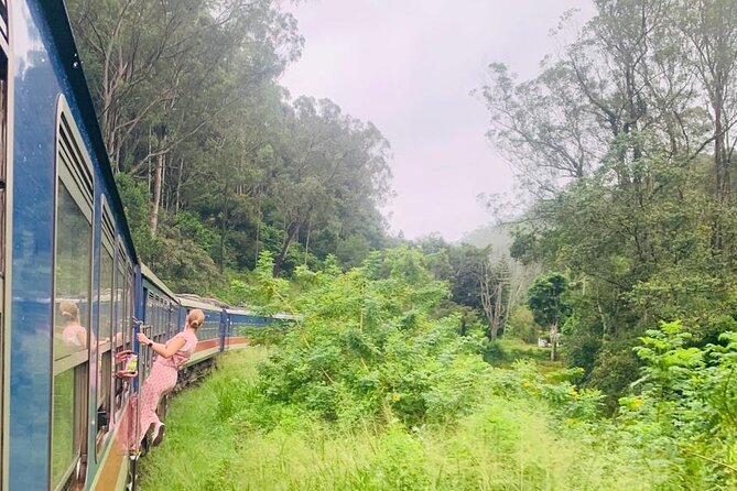 8 Day Private Sri Lanka Tour with Chauffeur - Day 4: Waterfalls and tea in the highlands