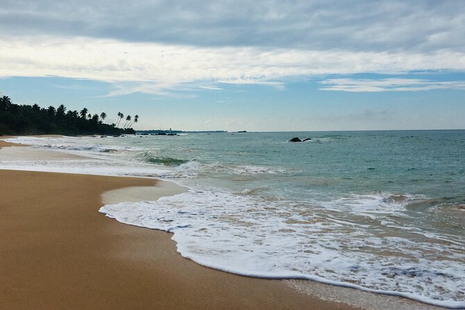 8 Day Private Sri Lanka Tour with Chauffeur - Day 5: The Nanu Oya to Ella train