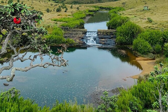 8 Days and 7 Nights Sri Lanka Tour - Day 3: Botanical gardens, tea, gems, and Nuwara Eliya