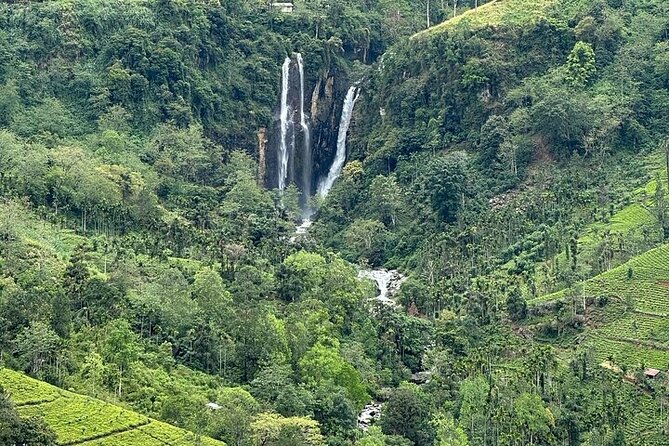 8 Days and 7 Nights Sri Lanka Tour - Day 5: Yala wildlife and Tissamaharama