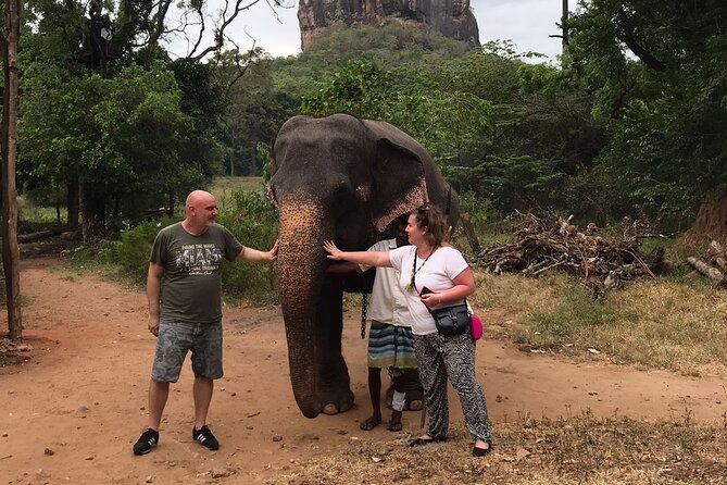 8 Days Private Guided Tour in Sri Lanka with accommodation (BB) - Why this route works for a first visit