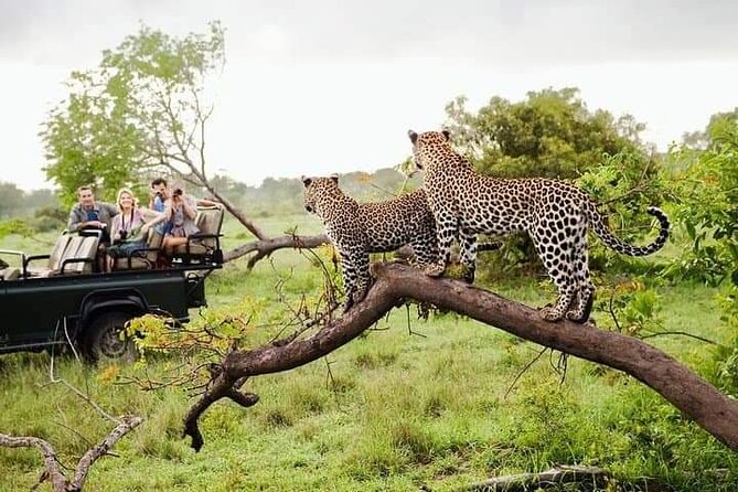 8 Days Private Guided Tour in Sri Lanka with accommodation (BB) - Day 5: Extra time in Ella or a route adjustment