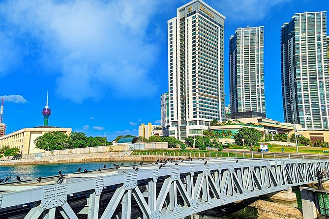 8 Days Sri Lanka Private Round Tour - Yala safari and the move to Mirissa