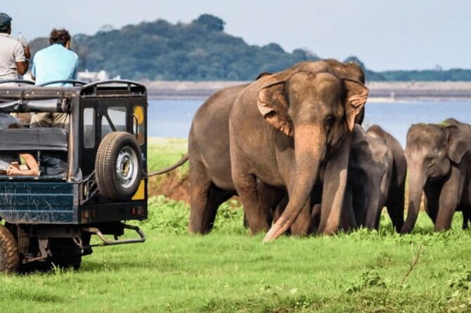 9 Days Guided Tour Through Sri Lanka - Dambulla, Sigiriya, and the ancient capitals