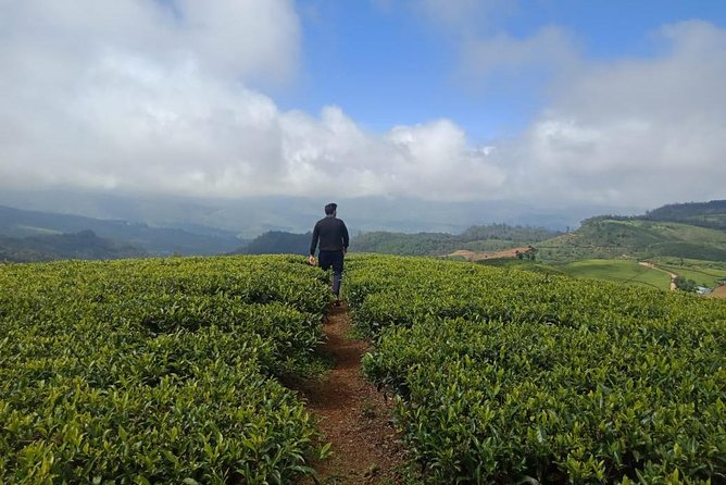 A Day in Nuwara Eliya: Sights & Local Delights - The hiking route from Shanthipura to Nanuoya