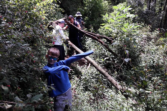 A Day in Nuwara Eliya: Sights & Local Delights - Galway’s Land National Park and Horton Plains
