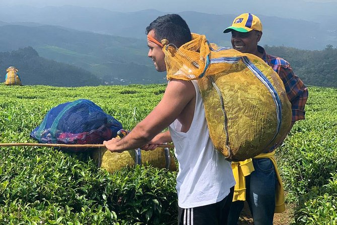 A Day in Nuwara Eliya: Sights & Local Delights - What the $30 price really covers