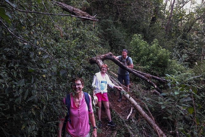 A Day in Nuwara Eliya: Sights & Local Delights - Tea fields, forest, and local homes