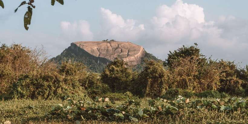 A Hidden Gem in Sigiriya: Magical Boat Journey. - Sunrise or Sunset: Picking the Better Time