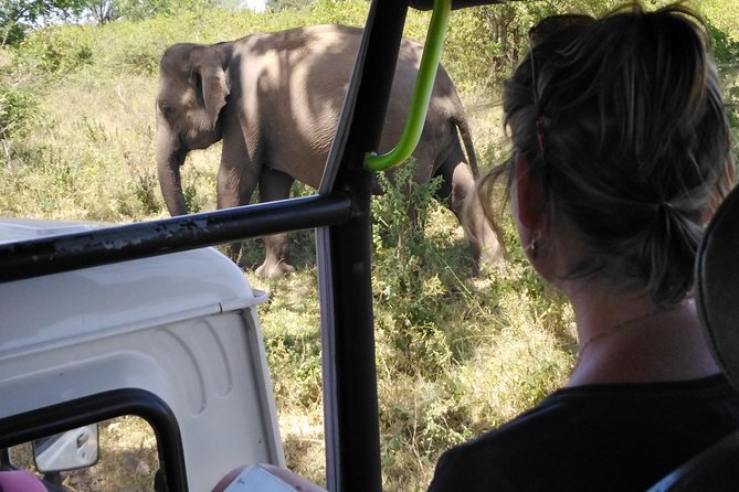 A Udawalawa Park safari, Tour from Colombo/Galle- (All inclusive) - Key points before you book