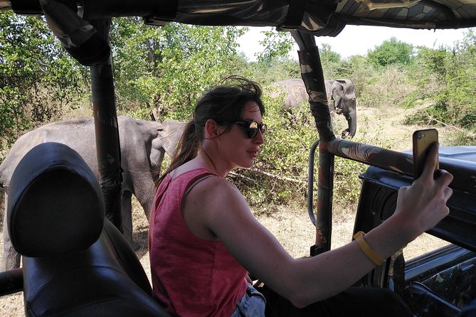 A Udawalawa Park safari, Tour from Colombo/Galle- (All inclusive) - Three hours inside Udawalawe National Park
