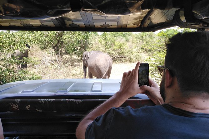 A Udawalawa Park safari, Tour from Colombo/Galle- (All inclusive) - What the private format changes