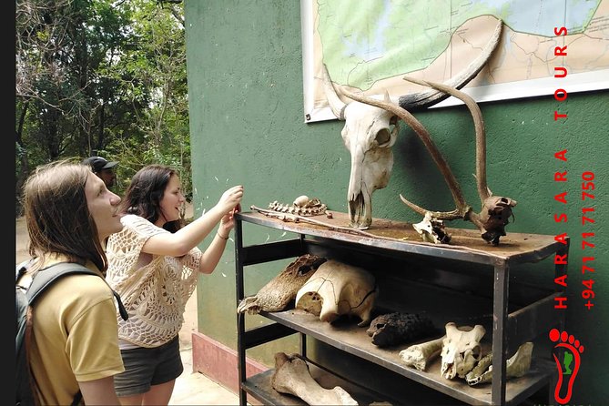 A Udawalawa Park safari, Tour from Colombo/Galle- (All inclusive) - Is $195 a fair price?