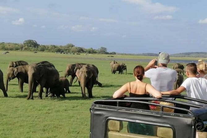 Adventure 2 days trip from trinco to sigiriya, with wild safari - Three hours among the elephants at Minneriya